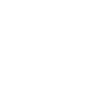 btn icon